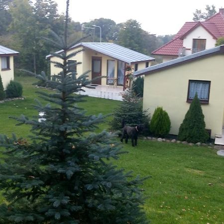 Domki Letniskowe W Wapnicy Villa Lubin  Buitenkant foto